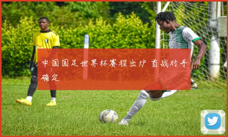 中国国足世界杯赛程出炉 首战对手确定
